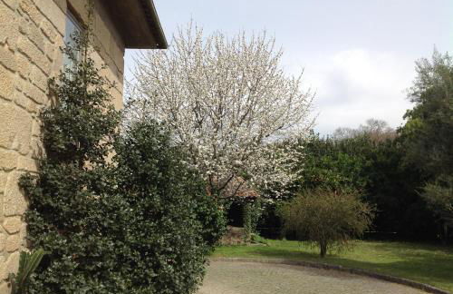 Casa de Romao - Foto 29