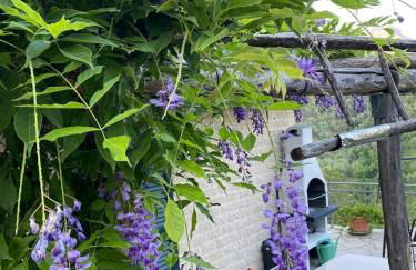 Nonno Paco Vacanze - Foto 4