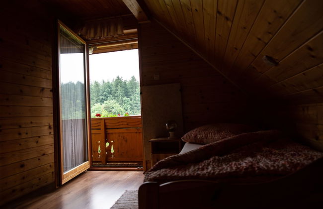 Apartments and wellness center Korošec - Foto 6