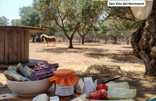 Mia Sea view a 20 mt dal mare - Foto 46