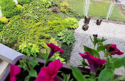 Apartamenty ,,Trzy Sosny'' Rymanów-Zdrój - Foto 46