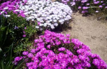 Casa Maria - Foto 16