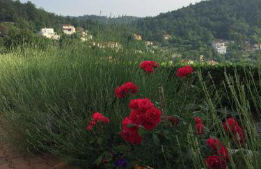 Apartment Gina - Photo 13