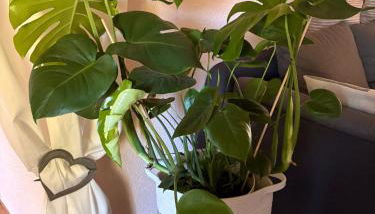 Apartment Dietze - Foto 3