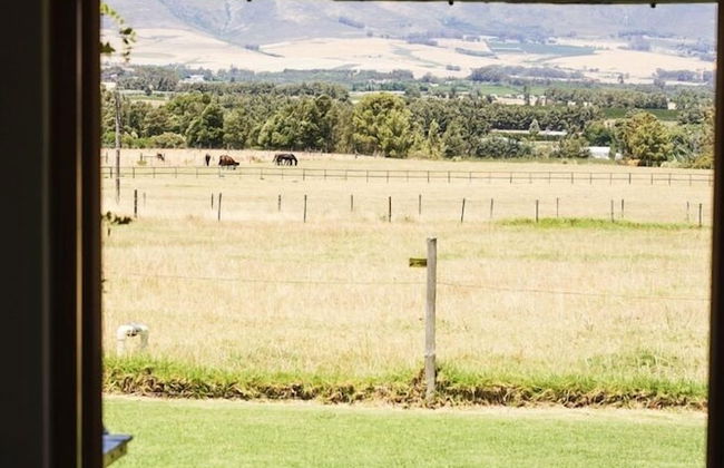 Raptor Rise - Foto 10