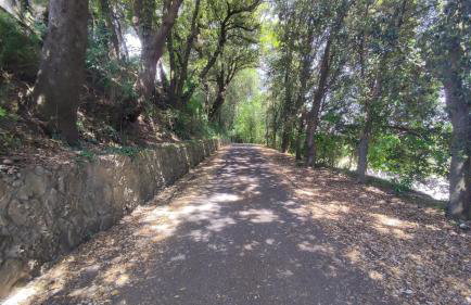 AUTUNNO IN TOSCANA MARE degustazioni sagre e vino aperto tutto l'anno parcheggio riservato davanti a casa - Foto 80