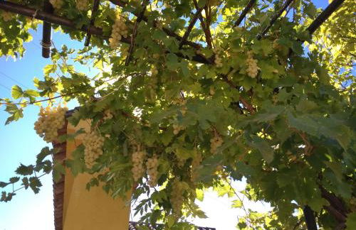 Andalusian experience - Foto 51