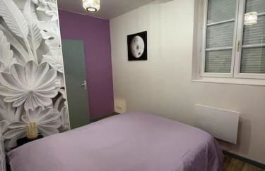 T2 Centre ville La Licorne 2 - Foto 6