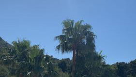 Villa Valérie - Photo 3