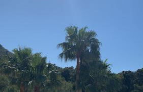 Villa Valérie - Photo 3