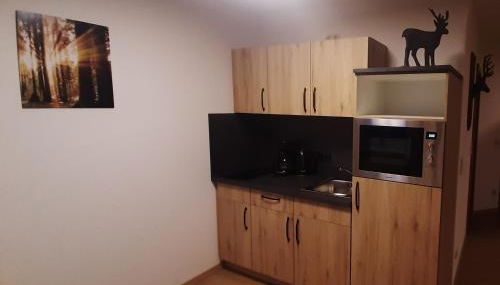 Gasthof Zum Wirt Ferienwohnung Hohenbogenblick - Foto 2