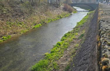 WohnTraum an der Triebisch - Foto 11