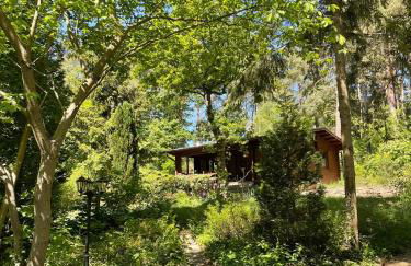 Ferienhaus Waldeule - Foto 32