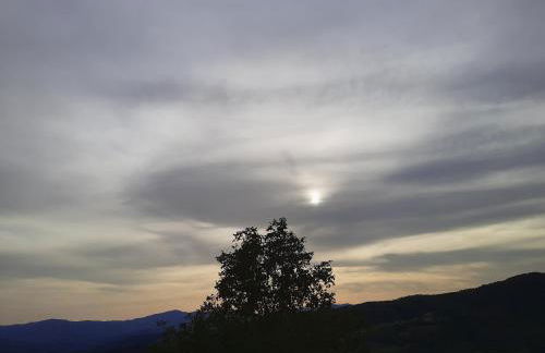 Il Mandorlo - Photo 23