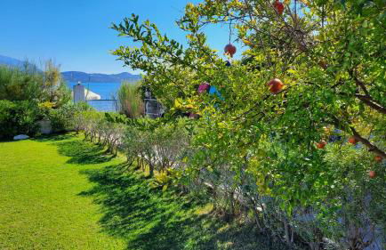 Alekos Beach Houses - Alekos Beach Complex - Photo 110