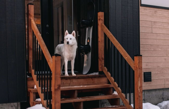 Le Sherpa -spa Billard et acc s au lac - Foto 46