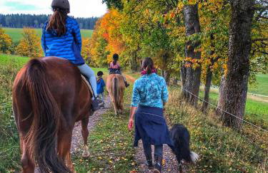 Ferienhof Gerda - Foto 11