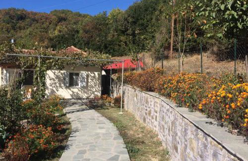 Guesthouse "Athina" - Foto 9