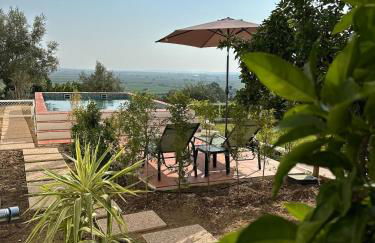 Lezíria Houses - Ribatejo - Foto 52