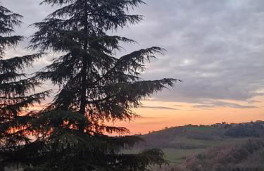 Villa Eleonora Italia - Foto 29