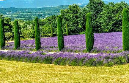 La perle de Gordes - Photo 74