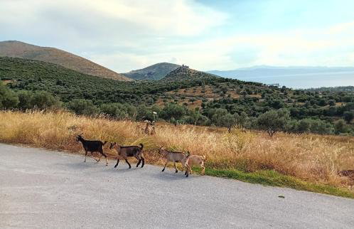 Kappa house - Foto 9