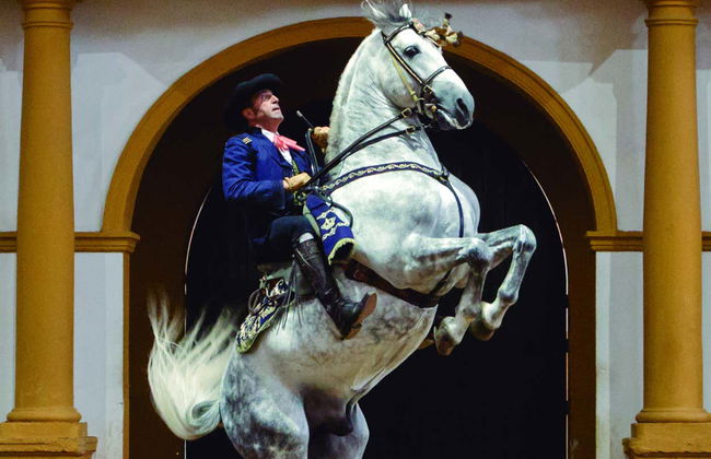 Spectacle équestre à Xérès de la Frontera - Photo 7