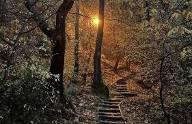 TETOS Wooden House - Foto 12