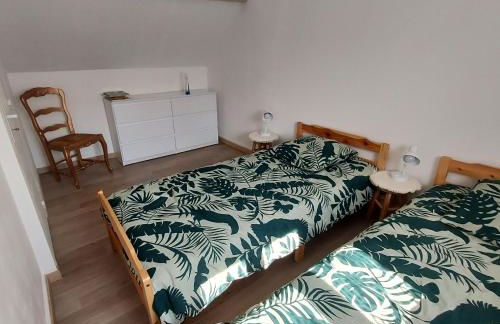 Terracotta - Foto 11