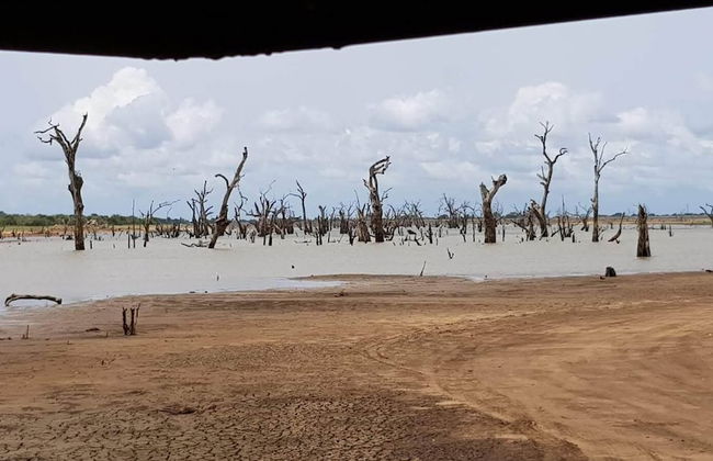 Residence Kuruniyavilla - Photo 73