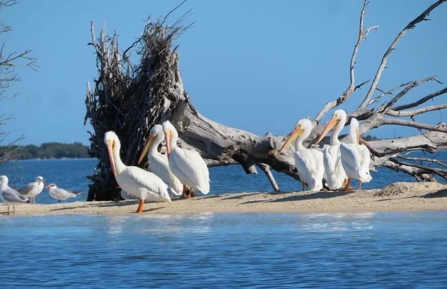 Waterfront Paradise on half an acre - Foto 28