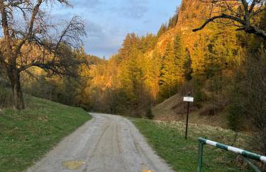 Apartament Primula 1 - Photo 16