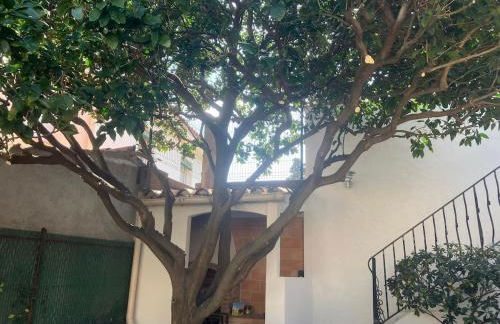 Hébergement de Standing à la Mer avec bel extérieur - Foto 22