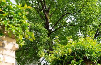 Albergo Diffuso Polcenigo C. Zoldan - Foto 52