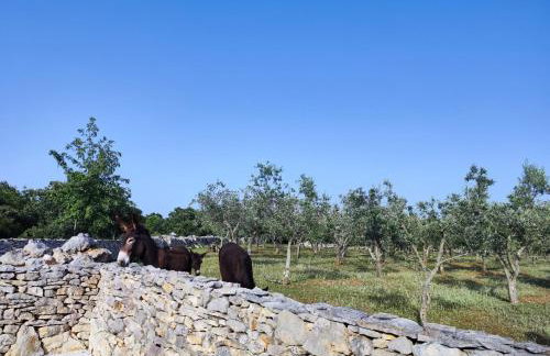 Holiday Home Respira - Foto 47