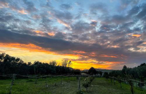 Villa Claudia - Appartamento B - Foto 8