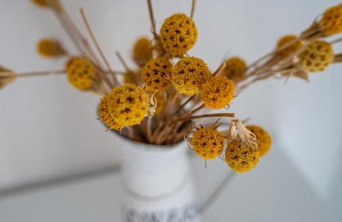 Fewo Im alten Fachwerkhaus - Foto 23