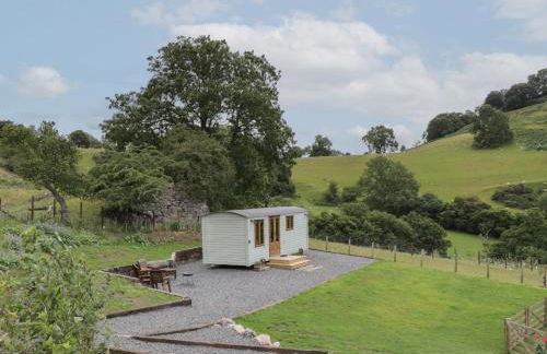 Tan Y Castell Shepherds Hut - Photo 14