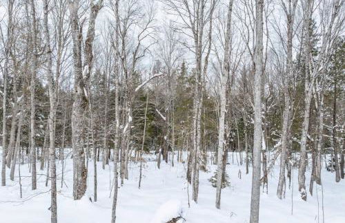 Snowy Paws on Lac Vieux Desert - Photo 26