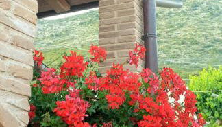 Agriturismo Il Casale Dei Gelsi - Foto 2