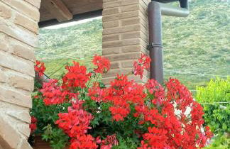 Agriturismo Il Casale Dei Gelsi - Foto 2