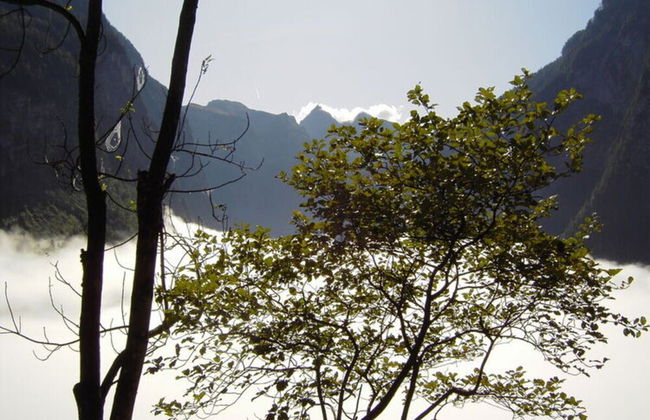 Holiday Apartment in Bavaria - Foto 12