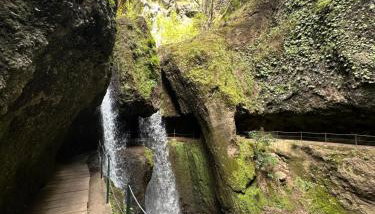 Isabela House - Photo 4