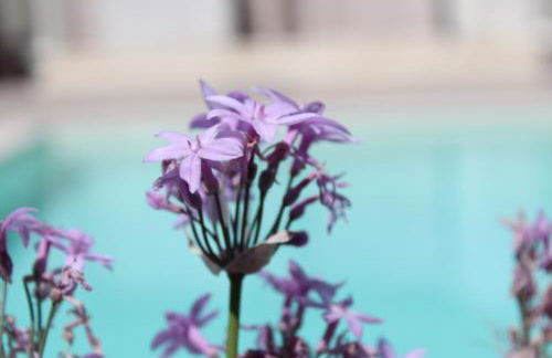 Appartamento da Ciuruzzo - Foto 18