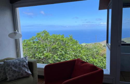 Dos Violetas - Foto 23