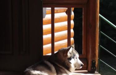 My Woodenfriend - Foto 6