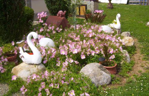 Verginia Studios - Photo 40