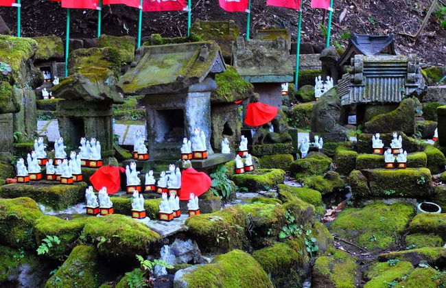 Kamakura & Enoshima Private Day Trip - Foto 5