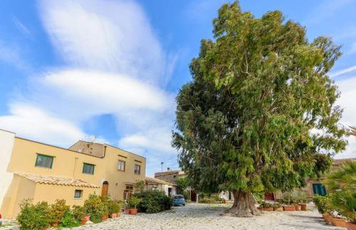 Vito nel Baglio - Foto 19