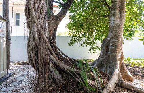 Siesta Key under The Banyan Tree 3 bed 3 bath - Foto 41